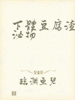 下体豆腐渣状分泌物