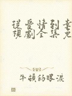 从爱情到幸福电视剧全集免费观看