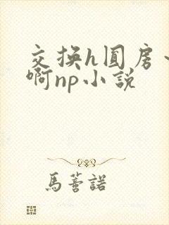 交换h圆房～嗯啊np小说