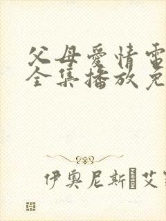 父母爱情电视剧全集播放免费观看