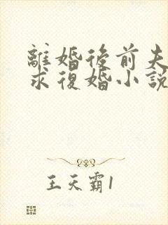 离婚后前夫哭着求复婚小说免费在线听书