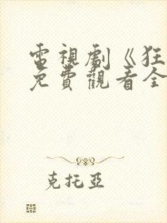 电视剧《狂飙》免费观看全集播放