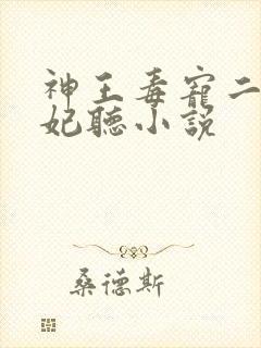 神王毒宠二嫁王妃听小说