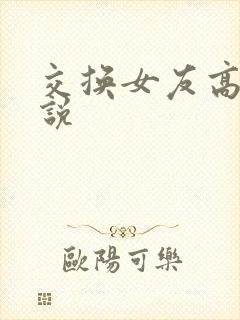 交换女友高h小说