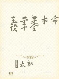 王子是本命是恶役千金封面