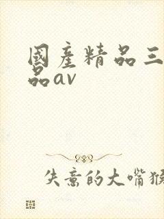 国产精品三级精品av