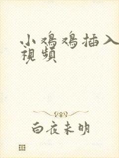 小鸡鸡插入逼里视频