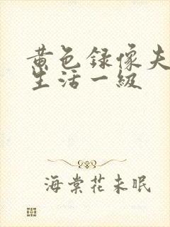 黄色录像夫妻性生活一级