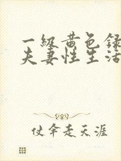 一级黄色录像片夫妻性生活