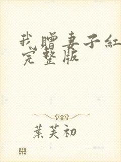 我赠妻子红缨枪完整版