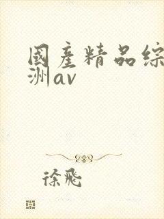 国产精品综合亚洲av封面