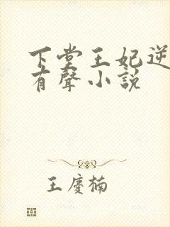 下堂王妃逆袭记有声小说