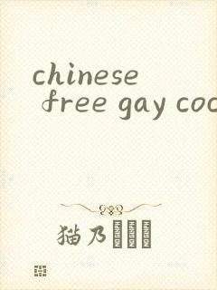 chinese free gay cock
