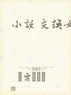 小说 交换女友