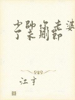 少帅你老婆又跑了未删节