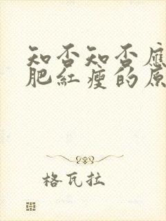 知否知否应是绿肥红瘦的原著