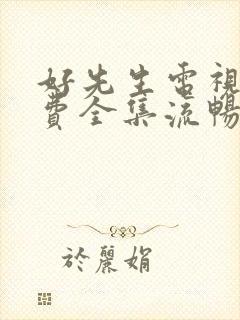 好先生电视剧免费全集流畅版