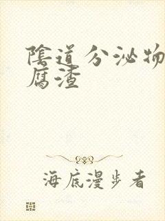 阴道分泌物 豆腐渣