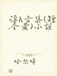 淫h合集(短篇,全黄)小说