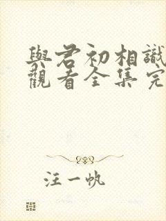 与君初相识免费观看全集完整版