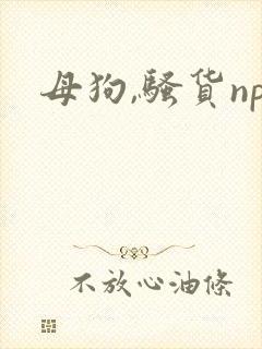 母狗,骚货np