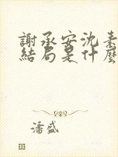 谢承安沈素雨大结局是什么封面