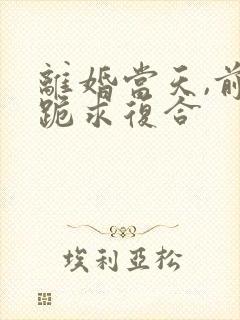 离婚当天,前夫跪求复合封面