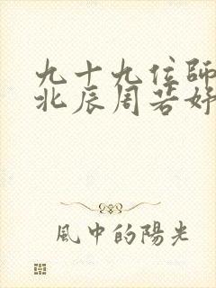 九十九位师傅叶北辰周若妤