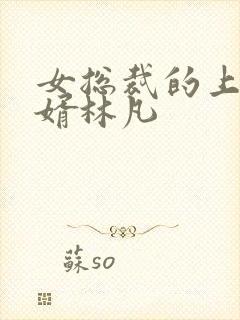 女总裁的上门女婿林凡