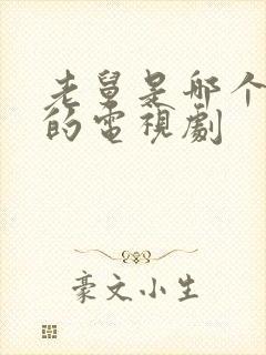 老舅是哪个台演的电视剧