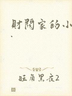 财阀家的小儿子.