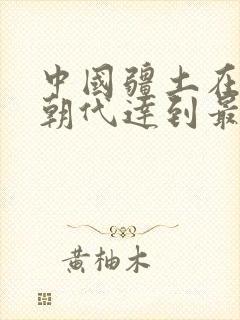 中国疆土在哪个朝代达到最大