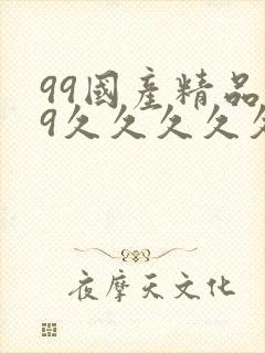 99国产精品99久久久久久