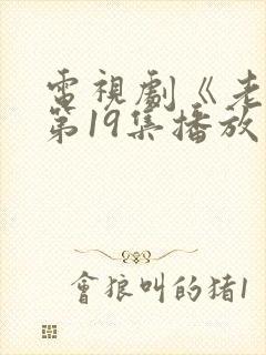 电视剧《老舅》第19集播放