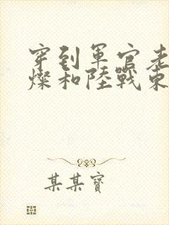 穿到军官老公苏灿和陆战东的小说