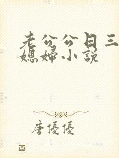 老公公日三个儿媳妇小说封面