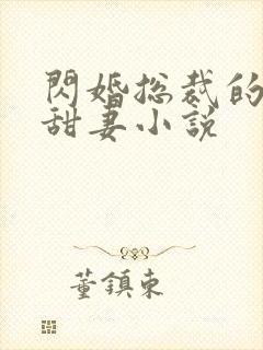 闪婚总裁的契约甜妻小说