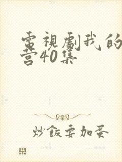 电视剧我的特一营40集