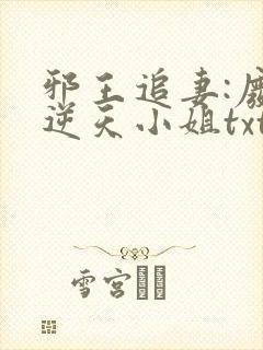 邪王追妻:废材逆天小姐txt封面