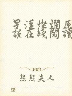 星汉灿烂原著小说在线阅读封面