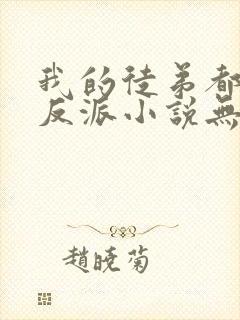 我的徒弟都是大反派小说无弹窗全文免费阅读