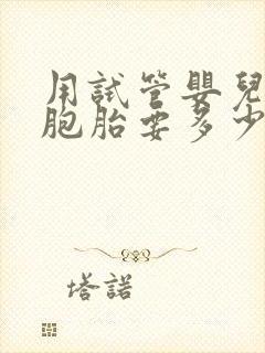 用试管婴儿做双胞胎要多少钱