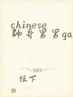 chinese帅哥男男gaygay视频