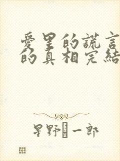 爱里的谎言仇恨的真相完结