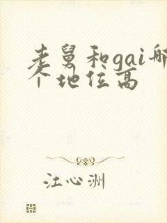 老舅和gai哪个地位高