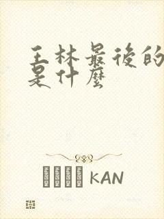 王林最后的结局是什么封面