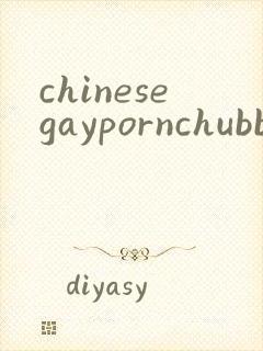 chinesegaypornchubbybearsex封面