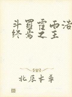 斗罗霍雨浩成为终焉之主