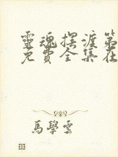 灵魂摆渡第四部免费全集在线