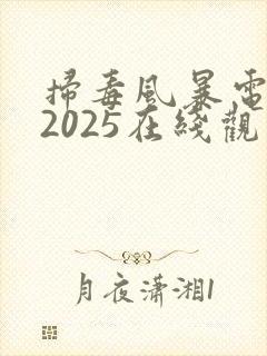 扫毒风暴电视剧2025在线观看全集封面